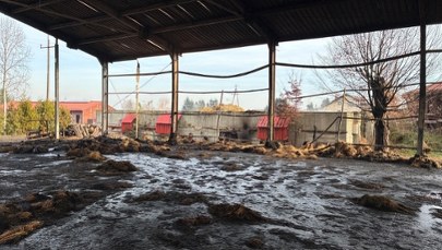 Pożar w stadninie koni pod Krakowem. Sprawcami dwaj 14-latkowie?