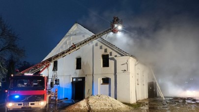 Pożar w stadninie koni w Mosznej