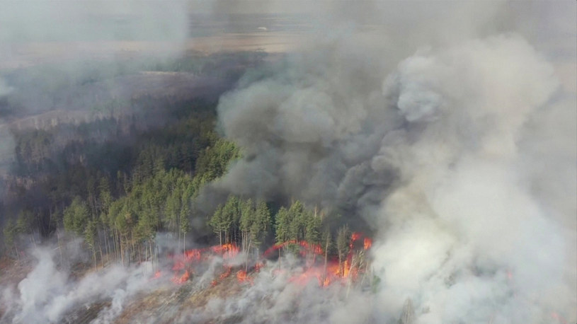 Pożar w strefie czarnobylskiej. Zdjęcie z 12 kwietnia 2020 r. / REUTERS TV /Agencja FORUM