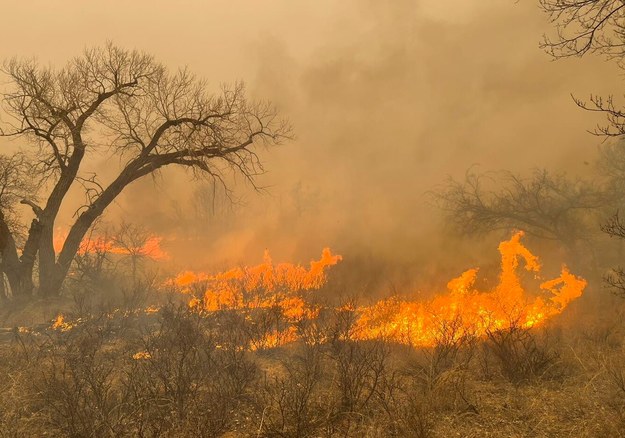 Pożar w Teksasie /GREENVILE, TX FIRE-RESCUE /PAP/EPA
