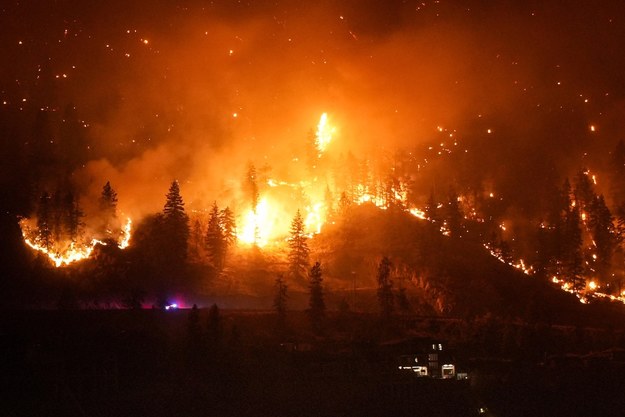 Pożar w West Kelowna w kanadyjskiej prowincji Kolumbia Brytyjska /DARRYL DYCK / The Canadian Press /PAP/PA