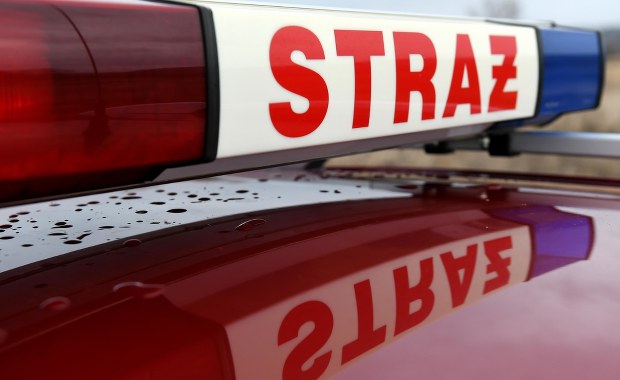 Pożar w zakładzie produkującym pellet. Jedna osoba ranna 