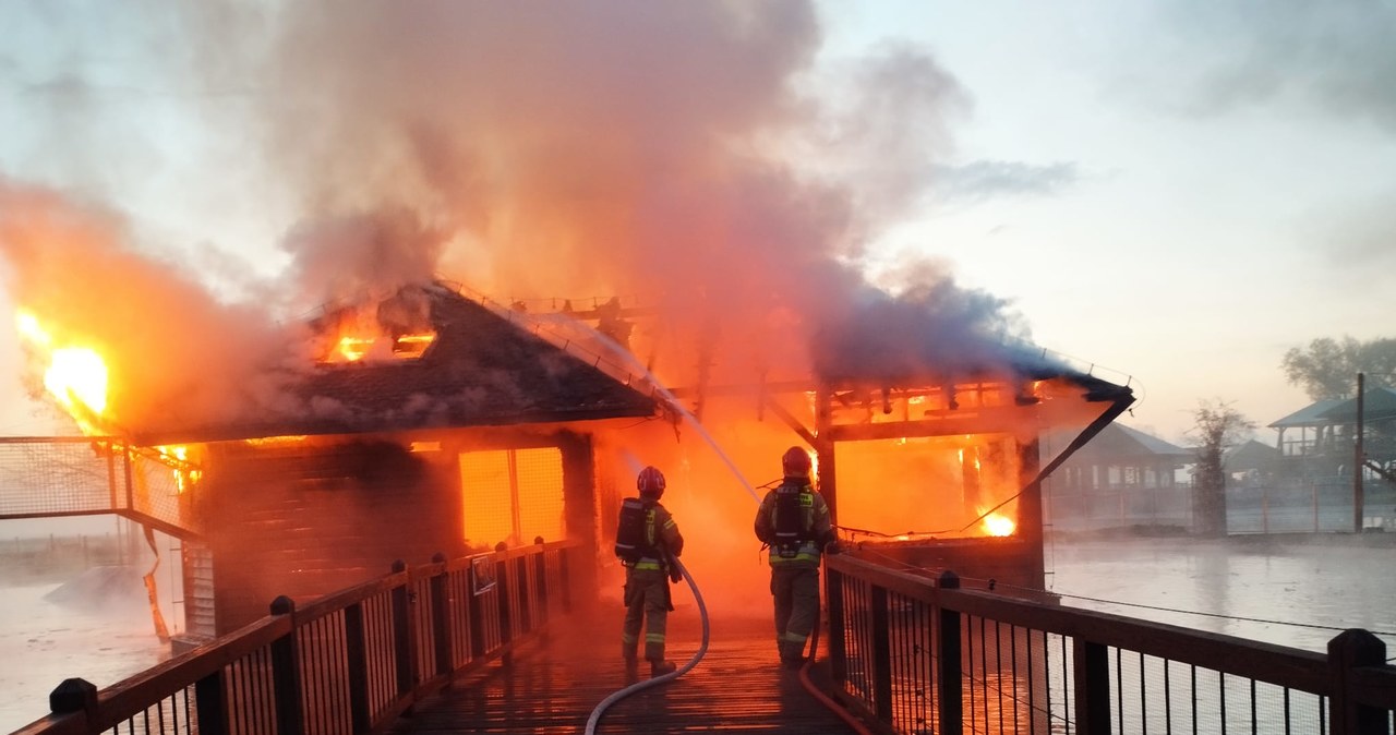 Pożar w zoo w Borysewie