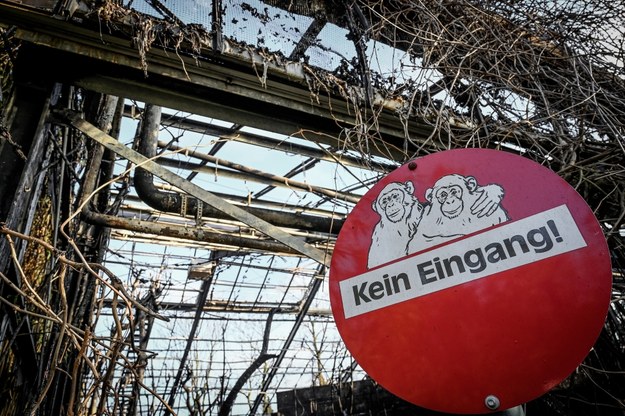 Pożar w zoo w Krefeld mógł być spowodowany noworocznym lampionem /Sascha Steinbach /PAP/EPA