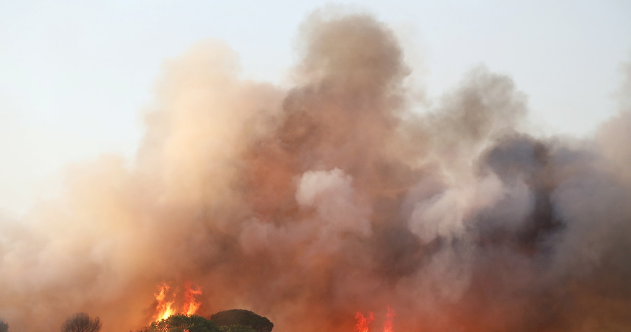 Pożar we Francji ciągle rośnie. Zginęła co najmniej jedna osoba