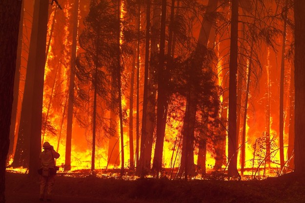 Pożar wybuchł 17 sierpnia /NOAH BERGER (PAP/EPA) /PAP/EPA