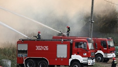 Pożar wysypiska śmieci w Studziankach. "Można mówić o przełomie"