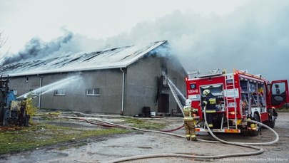 Pożar zakładu stolarskiego w Śląskiem opanowany. Był alert RCB dla mieszkańców 