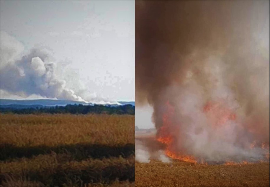 Pożar zboża w powiecie świebodzińskim (fot. OSP Lubrza) /