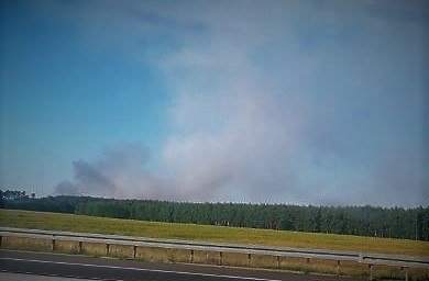 Pożar zboża w powiecie świebodzińskim /Gorąca Linia RMF FM