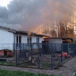 Pożar zniszczył schronisko Buba Centrum Pomocy Zwierzętom. "To jest tragedia niewyobrażalna"