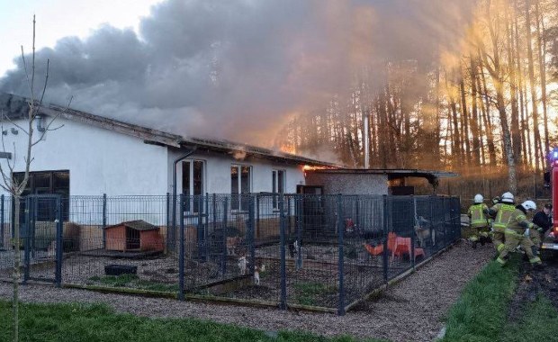 Pożar zniszczył schronisko Buba Centrum Pomocy Zwierzętom. "To jest tragedia niewyobrażalna"