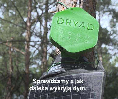 Pożarowa prewencja. Ludziom pomaga „elektroniczny nos”