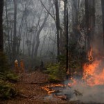 Pożary buszu to skutek suchego australijskiego klimatu
