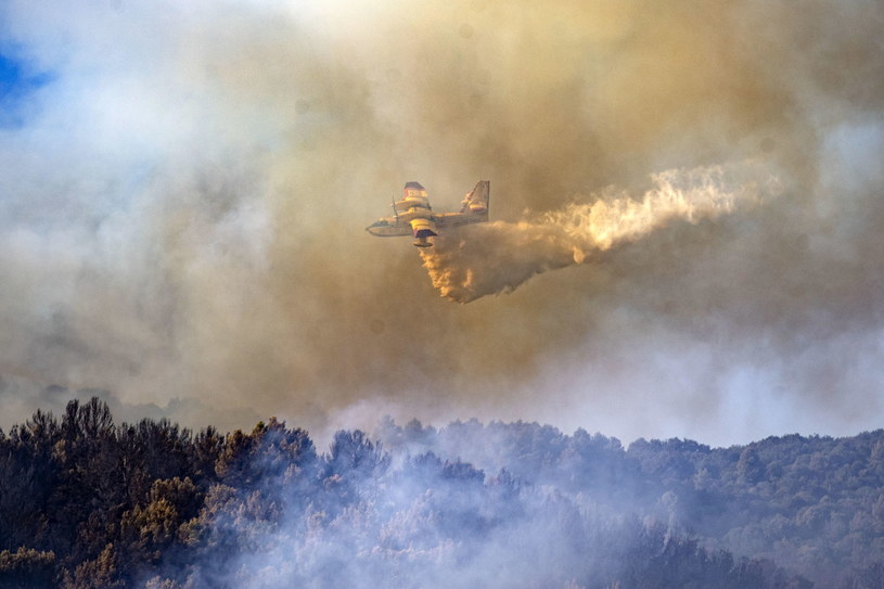 Pożary lasów niedaleko Rzymu /PAP/EPA