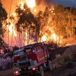 Pożary lasów w Andaluzji. Ponad 3 tys. osób ewakuowanych