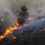 Pożary lasów w Chorwacji i Czarnogórze. Ewakuowano niektórych mieszkańców