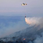 Pożary lasów w Grecji największe w historii pomiarów Unii Europejskiej 
