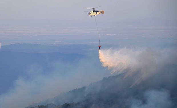 Pożary lasów w Grecji największe w historii pomiarów Unii Europejskiej 