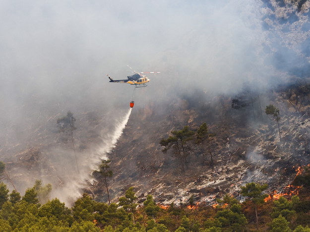 Raport: Każdego roku płonie więcej lasów. W poprzednim było to 9 mln hektarów