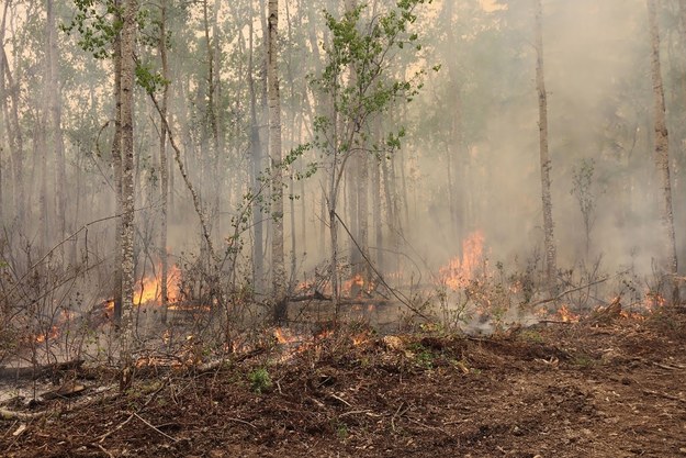 Pożary lasów w Kanadzie /ALBERTA WILDFIRE HANDOUT /PAP/EPA