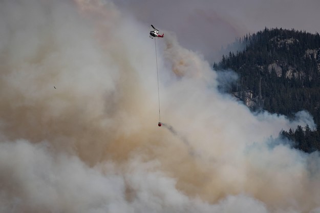 Pożary lasów w Kanadzie /DARRYL DYCK /PAP/Abaca