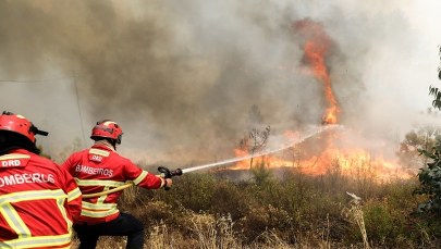 Pożary lasów w Portugalii. Są ranni 