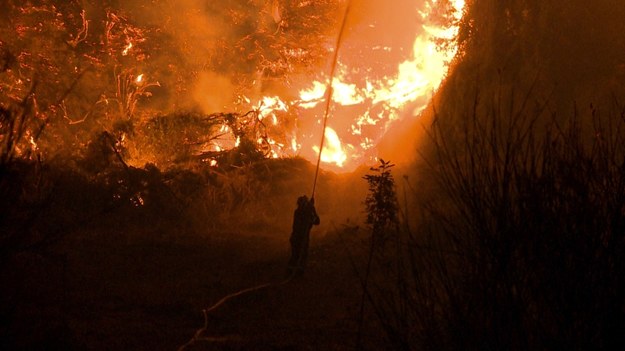 Pożary na Evii /SPIROS KOUROS /PAP/EPA