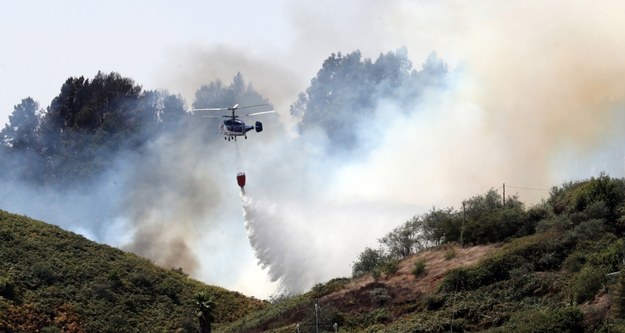 Pożary na Gran Canarii /Elvira Urquijo A. /PAP/EPA