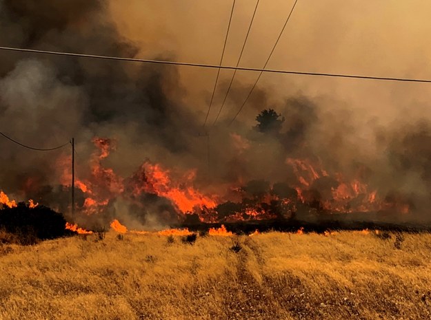 Pożary na Rodos /LEFTERIS DAMIANIDIS /PAP/EPA