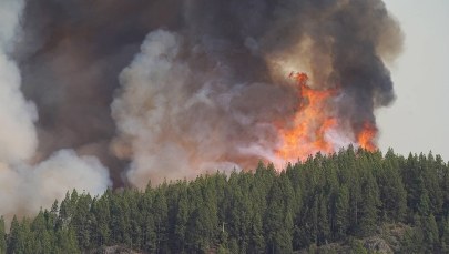 Pożary na Teneryfie nie ustają. "Siła tego żywiołu jest ogromna"