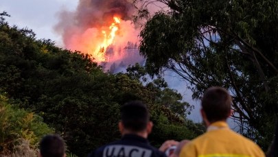 Pożary na wyspie Gran Canaria: Ponad 2 tys. osób ewakuowanych