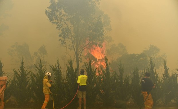 Pożary oczami Polki mieszkającej w Australii. "Trzeba myśleć, jak zlikwidować zapotrzebowanie na węgiel"