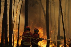 Pożary pustoszą Portugalię