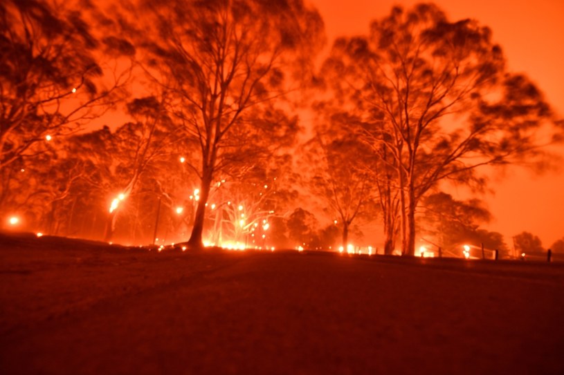 Pożary pustoszące Australię w latach 2019-2020 przyczyniły się do niszczenia warstwy ozonowej /AFP