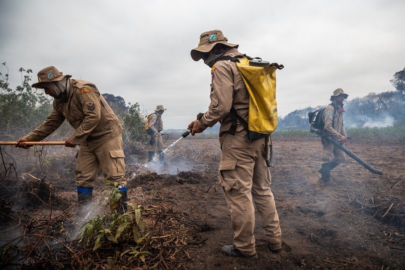Pożary strawiły brazylijską równinę Pantanal również w tym roku /Bloomberg / Contributor /Getty Images