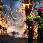 Pożary strawiły już 15 tys. hektarów. Przyrodniczy skarb zagrożony