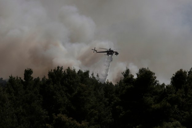 Pożary szaleją na Eubei, na północny wschód od Aten, oraz w wielu miejscach w południowym regionie Peloponezu /EPA/KOSTAS TSIRONIS /PAP