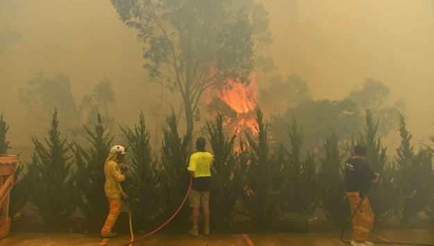 Pożary szaleją w Australii od września /MICK TSIKAS /PAP/EPA