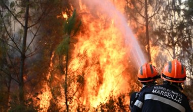 Pożary szaleją w Europie. Komisja: Oto zwierzęta zdolne je powstrzymać