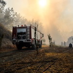 Pożary szaleją w Grecji, temperatura powyżej 40 stopni 
