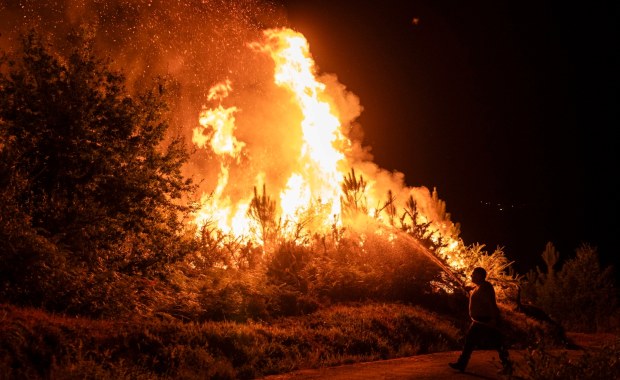 Pożary szaleją w Hiszpanii. Skala zniszczeń poraża