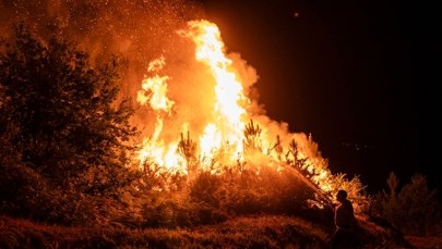 Pożary szaleją w Hiszpanii. Skala zniszczeń poraża