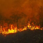 Pożary szóstej generacji sieją spustoszenie. Ogień, który ciężko ugasić
