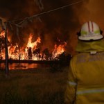 Pożary trawią australijski busz. Zaczynają zagrażać Sydney