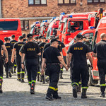 Pożary trawią Grecję. 143 polskich strażaków ruszyło na pomoc