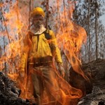Pożary w Amazonii. Brazylia wprowadza zakaz wypalania gruntów