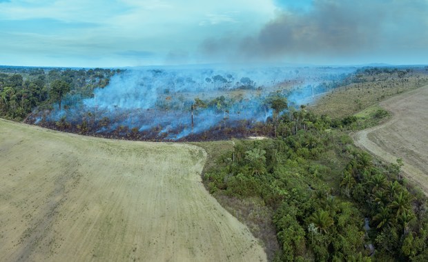 Pożary w Amazonii największe od 5 lat