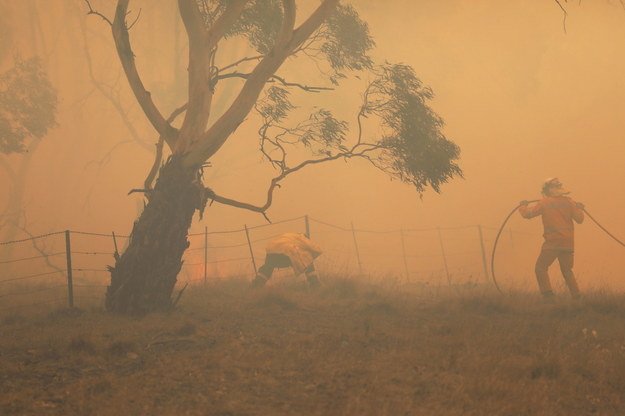 Pożary w Australii spowodowały ogromne straty /SEAN DAVEY  /PAP/EPA