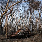 Pożary w Australii uderzają w PKB, zaufanie i rząd